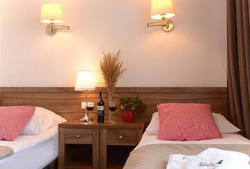 Фото номера Двухместный номер с 2 отдельными кроватями Отель Hotel Skalny Spa Bieszczady г. Полянчик 6