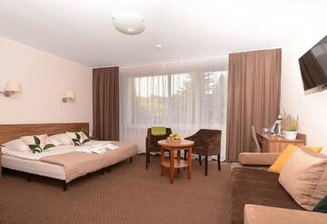 Фото номера Трехместный номер Отель Hotel Skalny Spa Bieszczady г. Полянчик 2